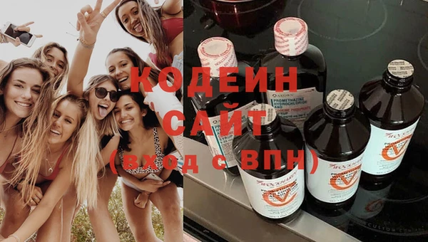 ECSTASY Инсар