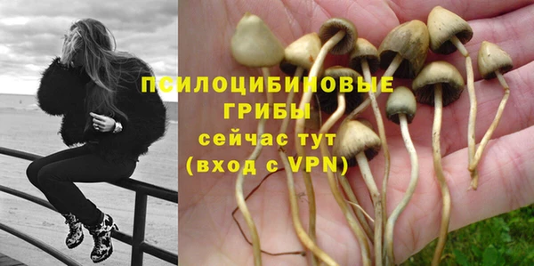 не бодяженный Зерноград