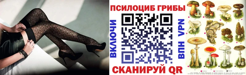 Галлюциногенные грибы Cubensis  Купить где  Дедовск 